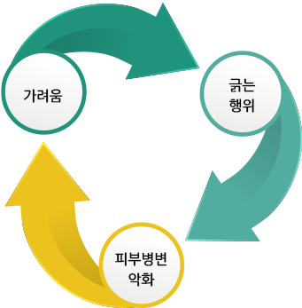 가려움→긁는행위→피부병변악화