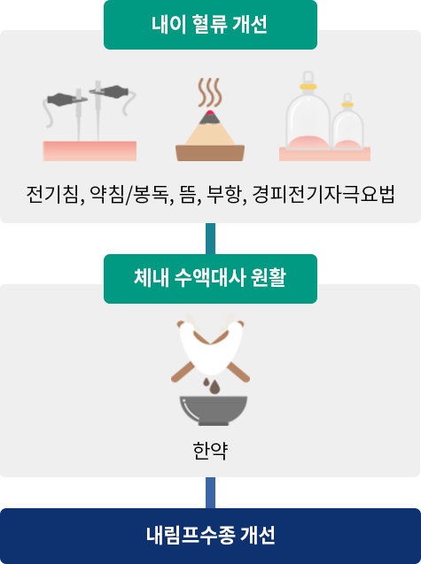 내이 혈류 개선 : 전기침, 약침/봉독, 뜸, 부항, 경피전기자극요법. 체내 수액대사 원활 : 한약. 내림프수종 개선