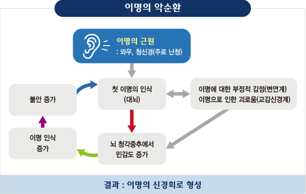 [이명의 악순환] 이명의 근원:와우, 청신경(주로 난청)↓ 첫 이명의 인식(대뇌)↔이명에 대한 부정적 감정(변역계) 이명으로 인한 괴로움(교감신경계)←뇌 청각중추에서 민감도 증가←이명 인식 증가←불안 증가